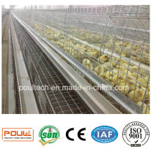 Pullet Cage Small Chick Cages